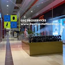 GFC Proservices - Dezinsectie, deratizare, dezinfectie Non Stop